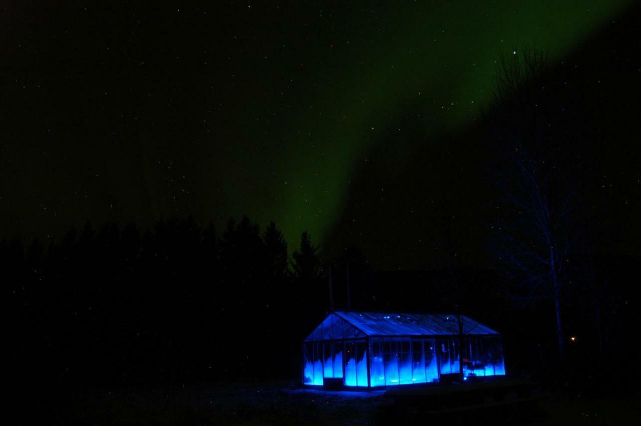 Art Studio Sortland Exterior foto